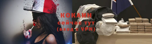 ALPHA-PVP Богородицк